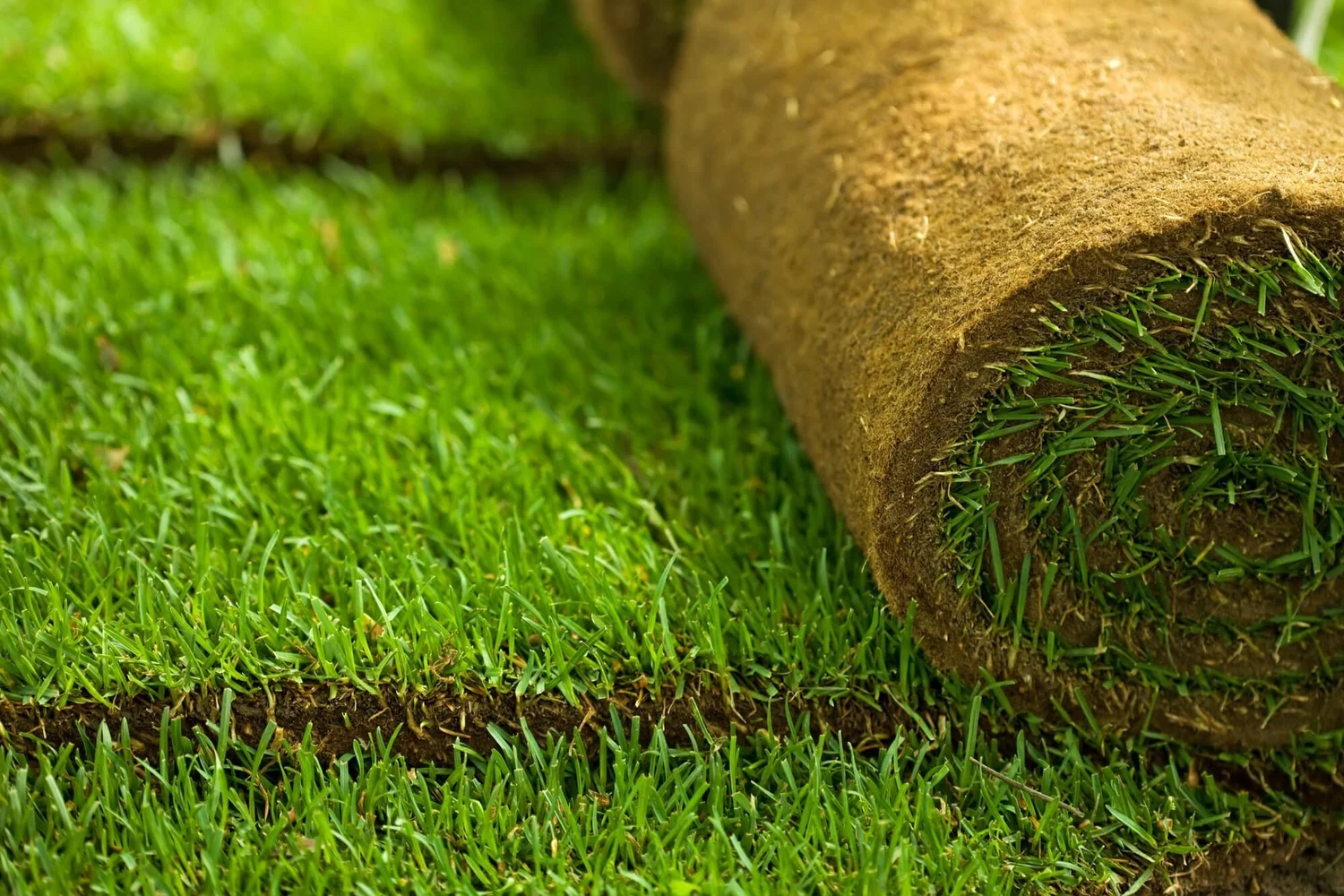 Overseeding